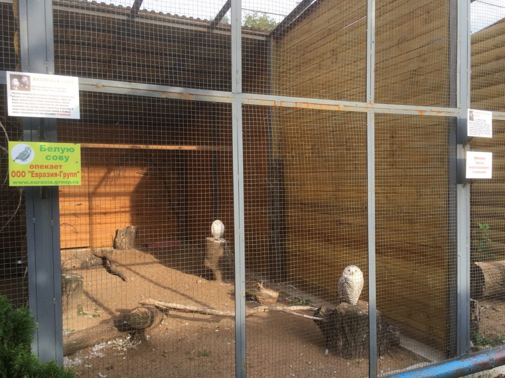 Картинка Eurasia-Group 