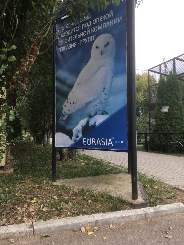 Картинка Eurasia-Group 